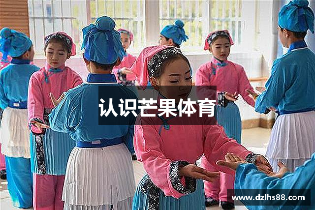 认识芒果体育